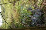 Teich 3.jpg Teich 3.jpg