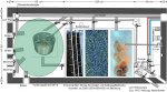 Zeichnung6-Schwerkraft-mit-SIFI-v2.19.jpg Zeichnung6-Schwerkraft-mit-SIFI-v2.19.jpg