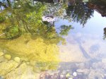 100_1010.JPG 100_1010.JPG