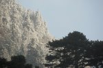 IQ3M1601_2011-02-23_Eis-Schnee.JPG