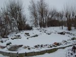 Teich-27. Februar 2011 003.jpg