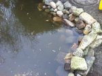 Foto 5.JPG