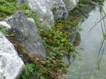DSCF5958.jpg