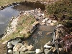 Foto0425.jpg