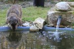 teich-petty.jpg