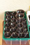 2011_04_02_2998.JPG
