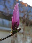 P1250590r.jpg