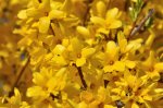 2011_04_08_3455.JPG