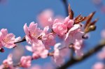 2011_04_08_3458.JPG