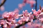 2011_04_08_3459.JPG