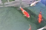 2011_04_08_3368.JPG
