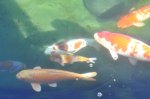 2011_04_08_3377.JPG