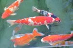 2011_04_08_3382.JPG