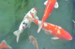 2011_04_08_3384.JPG