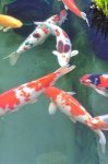 2011_04_08_3385.JPG