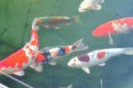2011_04_08_3386.JPG
