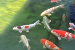 2011_04_08_3391.JPG