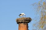 2011_04_09_3481.JPG