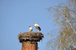 2011_04_09_3492.JPG