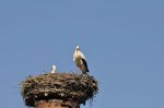 2011_04_09_3501.JPG