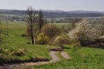 2011_04_09_3528.JPG