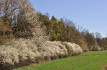 2011_04_09_3531.JPG