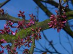 P1250822_bearbeitet-1.jpg