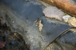 DSC_1120.jpg DSC_1120.jpg