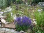 DSCF5656.jpg