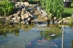 Teich April2011  2 001.jpg