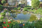Teich April2011  2 002.jpg
