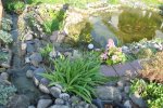 Teich April2011  2 005.jpg