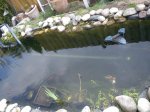DSC00323.jpg