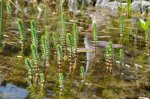 2011_04_18_4464_085.jpg