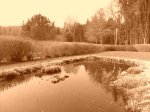 2009-05-03 002.jpg