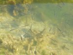 DSCF6770.jpg