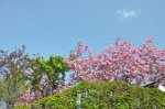 2011_04_22_4729_100.JPG