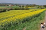 2011_04_23_4912_105.JPG