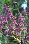 2011_04_22_4732_102.JPG