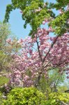 2011_04_22_4730_101.JPG