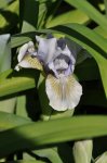 2011_04_23_4907_104.JPG