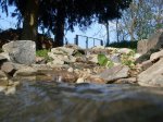 SDC11086.jpg