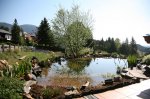 IMG_6902_2011-04-23_Teich2.JPG
