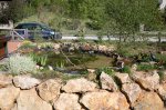 IMG_6907_2011-04-23_Teich2-1.JPG