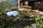 IMG_6905_2011-04-23_Teich2-2.JPG