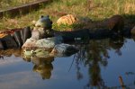 IMG_6869_2011-04-16_Detail-Frosch.JPG