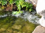 DSC05371.jpg