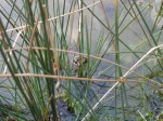 DSC05403.jpg