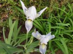 DSC05504.jpg