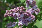 2011_04_24_4965_107.JPG